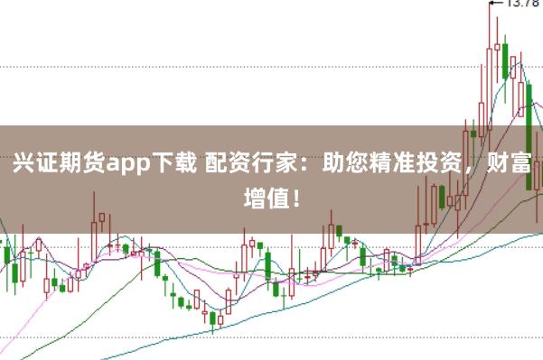 兴证期货app下载 配资行家：助您精准投资，财富增值！