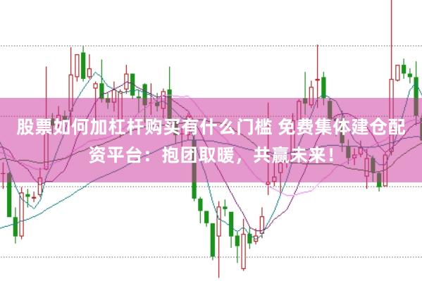 股票如何加杠杆购买有什么门槛 免费集体建仓配资平台：抱团取暖，共赢未来！