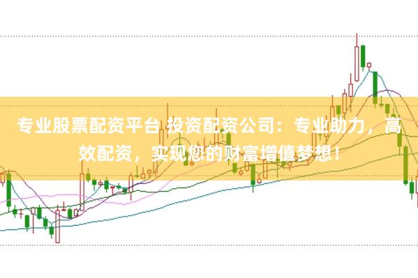 专业股票配资平台 投资配资公司：专业助力，高效配资，实现您的财富增值梦想！