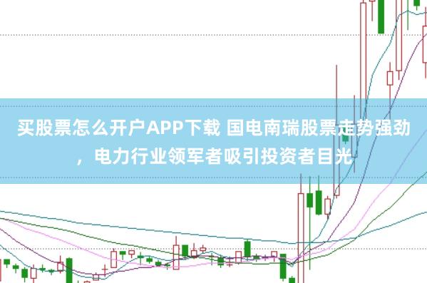 买股票怎么开户APP下载 国电南瑞股票走势强劲，电力行业领军者吸引投资者目光