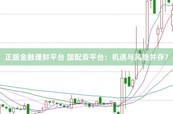 正版金融理财平台 国配资平台：机遇与风险并存？