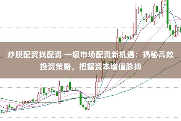 炒股配资找配资 一级市场配资新机遇：揭秘高效投资策略，把握资本增值脉搏