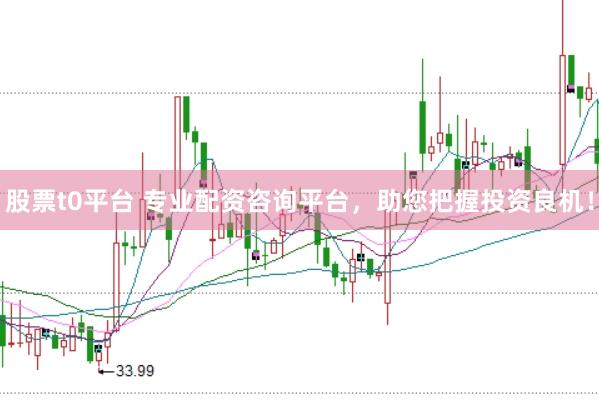 股票t0平台 专业配资咨询平台，助您把握投资良机！