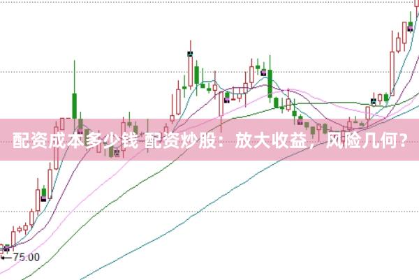 配资成本多少钱 配资炒股：放大收益，风险几何？