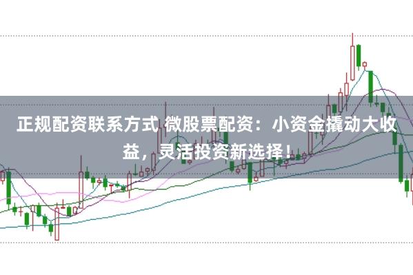 正规配资联系方式 微股票配资：小资金撬动大收益，灵活投资新选择！