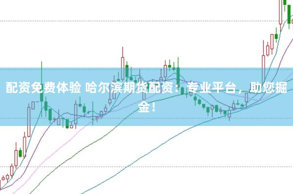 配资免费体验 哈尔滨期货配资：专业平台，助您掘金！