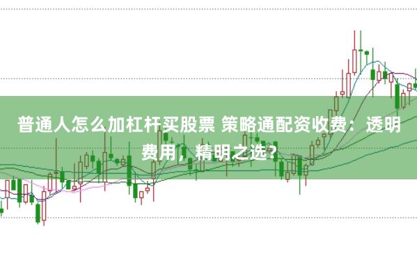 普通人怎么加杠杆买股票 策略通配资收费：透明费用，精明之选？