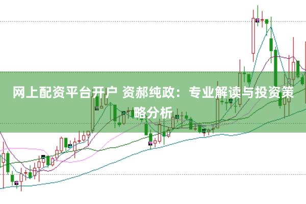 网上配资平台开户 资郝纯政：专业解读与投资策略分析