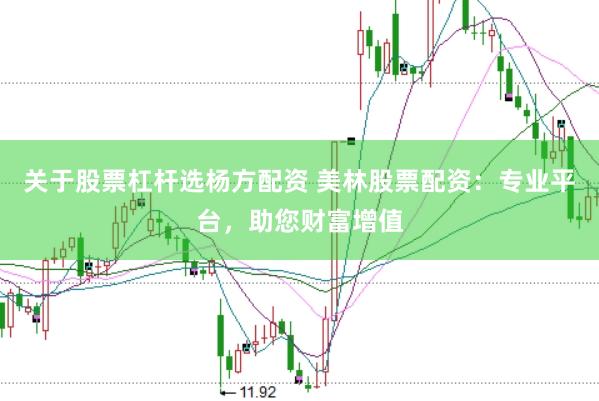 关于股票杠杆选杨方配资 美林股票配资：专业平台，助您财富增值