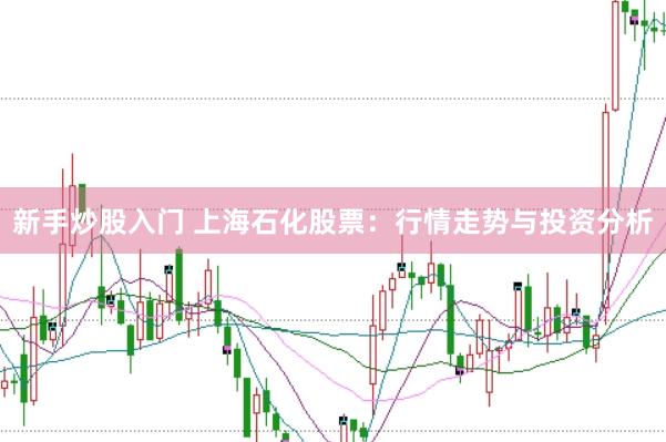 新手炒股入门 上海石化股票：行情走势与投资分析