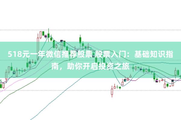 518元一年微信推荐股票 股票入门：基础知识指南，助你开启投资之旅