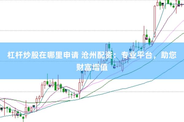 杠杆炒股在哪里申请 沧州配资：专业平台，助您财富增值