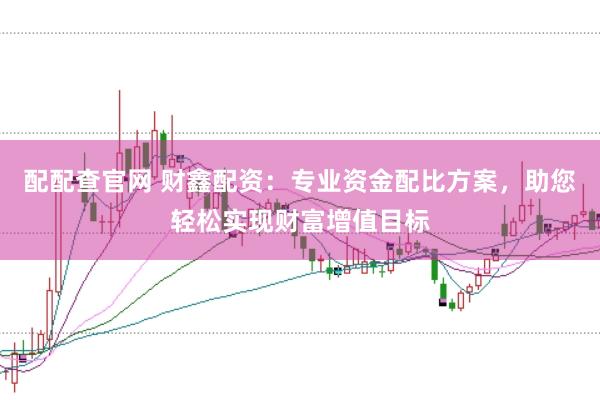 配配查官网 财鑫配资：专业资金配比方案，助您轻松实现财富增值目标