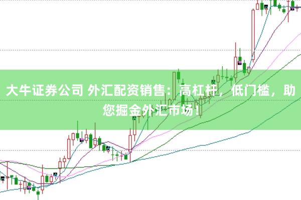 大牛证券公司 外汇配资销售：高杠杆，低门槛，助您掘金外汇市场！