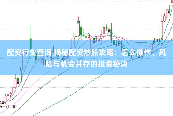 配资行业查询 揭秘配资炒股攻略：怎么操作、风险与机会并存的投资秘诀