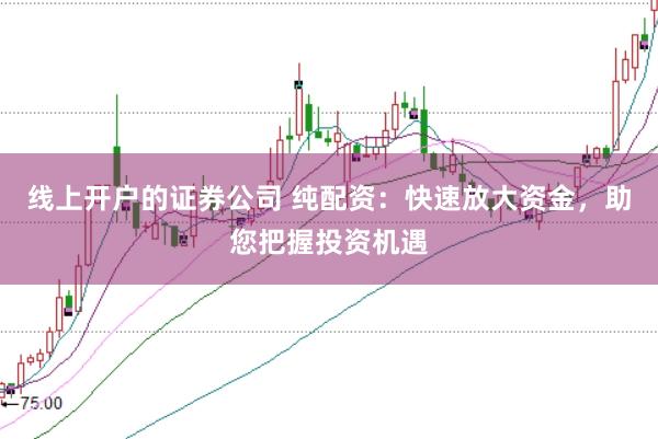 线上开户的证券公司 纯配资：快速放大资金，助您把握投资机遇