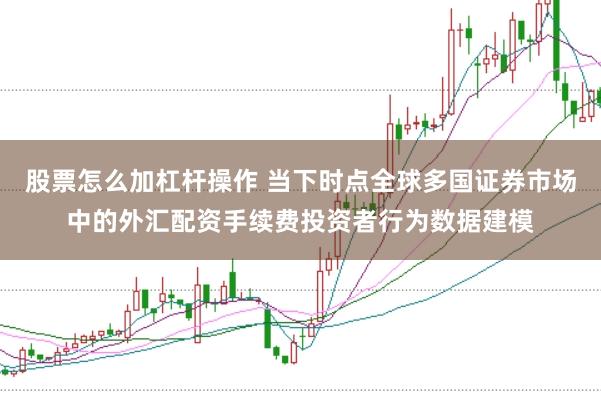 股票怎么加杠杆操作 当下时点全球多国证券市场中的外汇配资手续费投资者行为数据建模