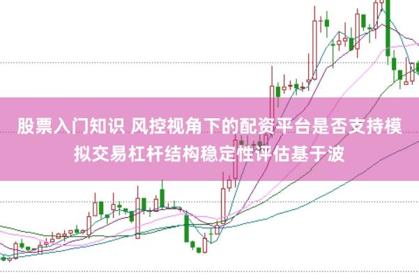 股票入门知识 风控视角下的配资平台是否支持模拟交易杠杆结构稳定性评估基于波
