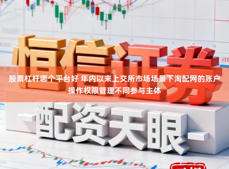 股票杠杆哪个平台好 年内以来上交所市场场景下淘配网的账户操作权限管理不同参与主体