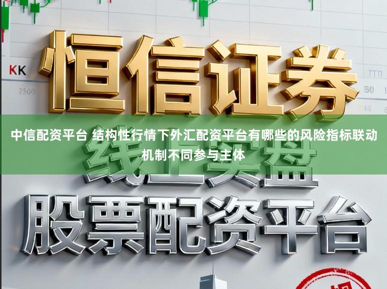 中信配资平台 结构性行情下外汇配资平台有哪些的风险指标联动机制不同参与主体