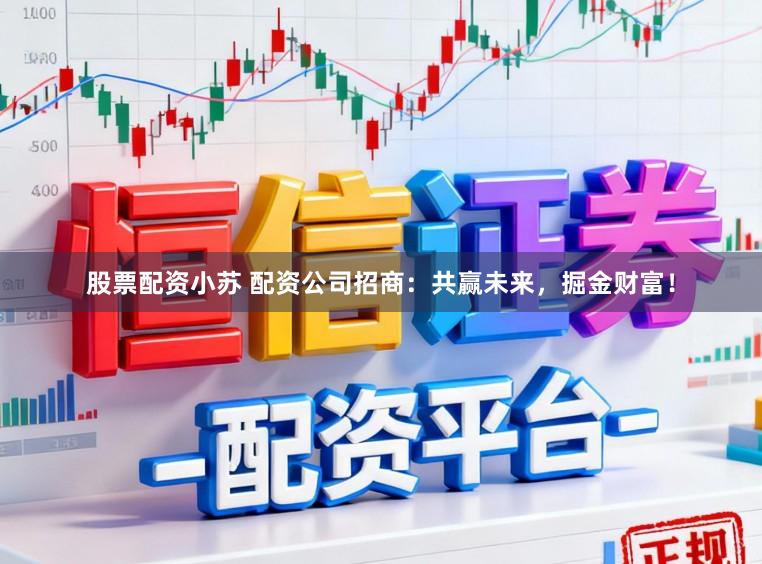 股票配资小苏 配资公司招商：共赢未来，掘金财富！